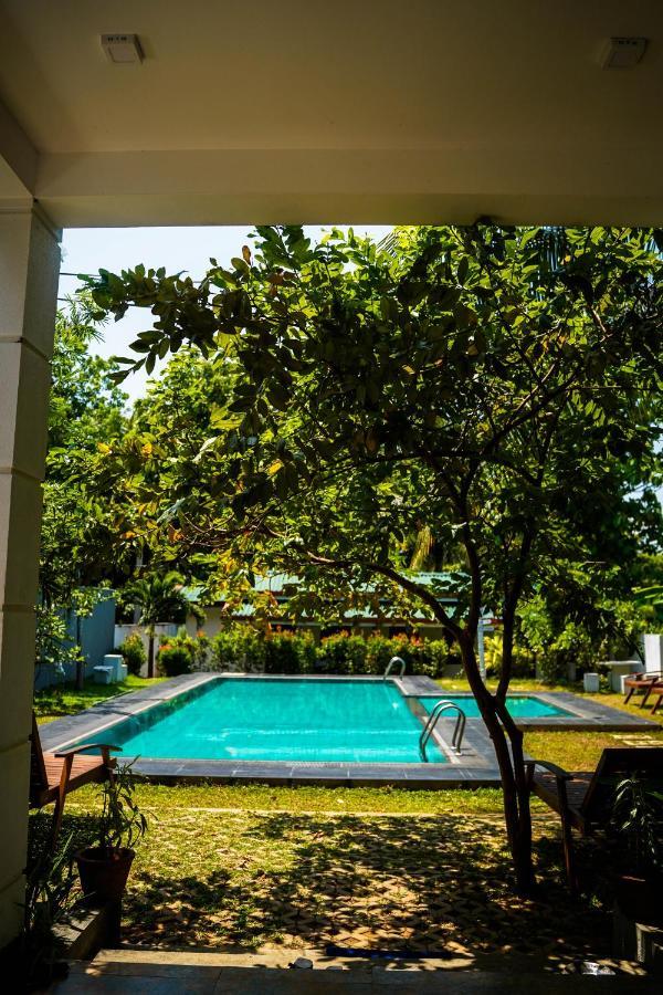 Sigiri Sierra View Resort Sigiriya Exterior foto