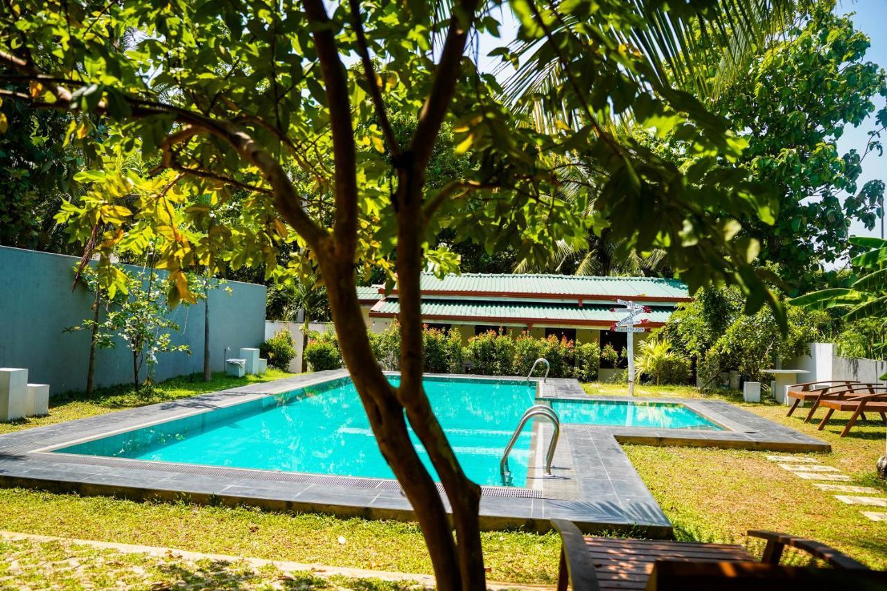 Sigiri Sierra View Resort Sigiriya Exterior foto